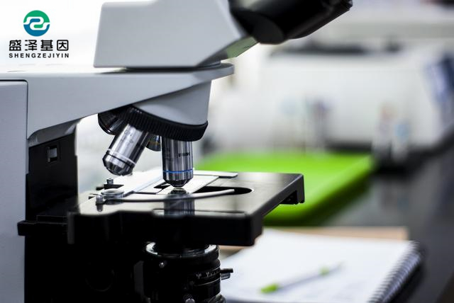 做親子鑒定花費高嗎？中山做親子鑒定需要多少錢？