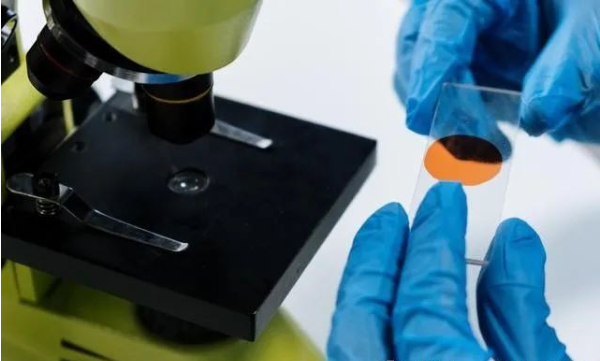 中山DNA親子鑒定中心鑒定流程是怎么樣的？2