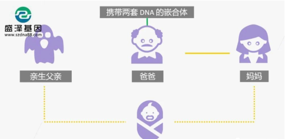 醫(yī)學(xué)怪病奇美拉現(xiàn)象:親自生未必是親生?你身體還住著另一個(gè)人? 醫(yī)學(xué)怪病奇美拉現(xiàn)象:親自生未必是親生?你身體還住著另一個(gè)人?