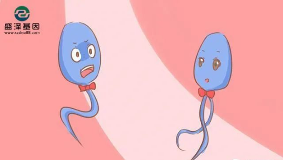 醫(yī)學(xué)怪病奇美拉現(xiàn)象:親自生未必是親生?你身體還住著另一個(gè)人? 醫(yī)學(xué)怪病奇美拉現(xiàn)象:親自生未必是親生?你身體還住著另一個(gè)人?