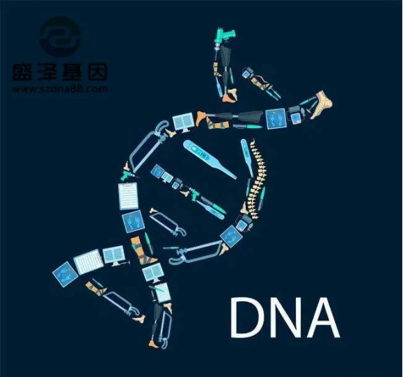 醫(yī)學(xué)怪病奇美拉現(xiàn)象:親自生未必是親生?你身體還住著另一個(gè)人? 醫(yī)學(xué)怪病奇美拉現(xiàn)象:親自生未必是親生?你身體還住著另一個(gè)人?