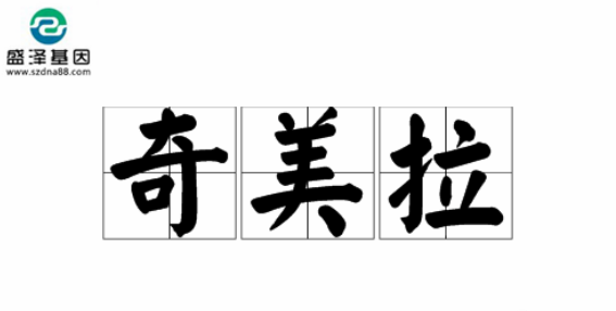 醫(yī)學(xué)怪病奇美拉現(xiàn)象:親自生未必是親生?你身體還住著另一個(gè)人? 醫(yī)學(xué)怪病奇美拉現(xiàn)象:親自生未必是親生?你身體還住著另一個(gè)人?