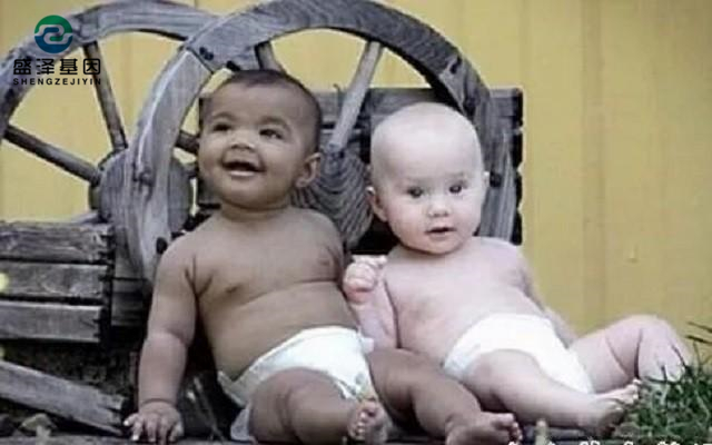 雙胞胎做親子鑒定結果竟是同母異父？親子鑒定師：罕見！