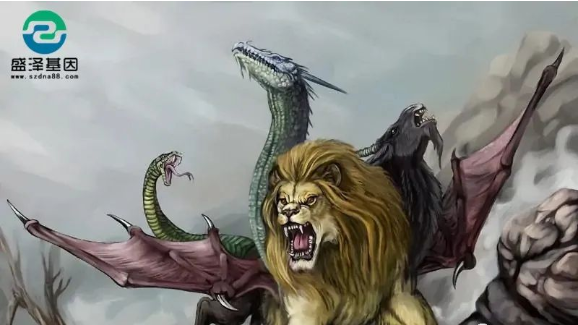 醫(yī)學(xué)怪病奇美拉現(xiàn)象:親自生未必是親生?你身體還住著另一個(gè)人? 醫(yī)學(xué)怪病奇美拉現(xiàn)象:親自生未必是親生?你身體還住著另一個(gè)人?