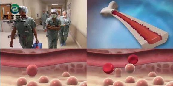 醫(yī)學(xué)怪病奇美拉現(xiàn)象:親自生未必是親生?你身體還住著另一個(gè)人? 醫(yī)學(xué)怪病奇美拉現(xiàn)象:親自生未必是親生?你身體還住著另一個(gè)人?