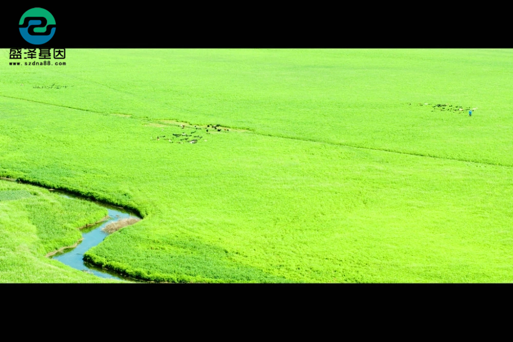 親子鑒定真實故事：4歲兒子非親生，他戴綠帽子到岳父家當面對質