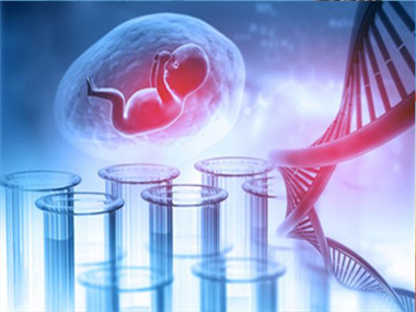 無創胎兒親子鑒定樣本檢測和辦理攻略