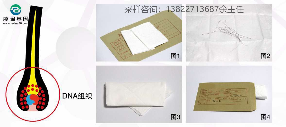 個人親子鑒定簡單采樣方法指導（血痕、口腔拭子、毛發）