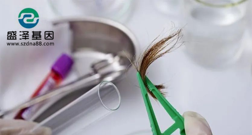 剛出生的小孩能用頭發做dna親子鑒定檢材嗎？準確率高嗎？