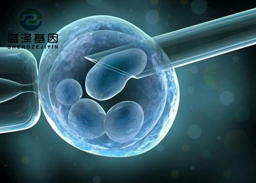 親子鑒定師講述:老公明明是無精癥,老婆卻試管嬰兒懷孕成功? 親子鑒定師講述:老公明明是無精癥,老婆卻試管嬰兒懷孕成功?