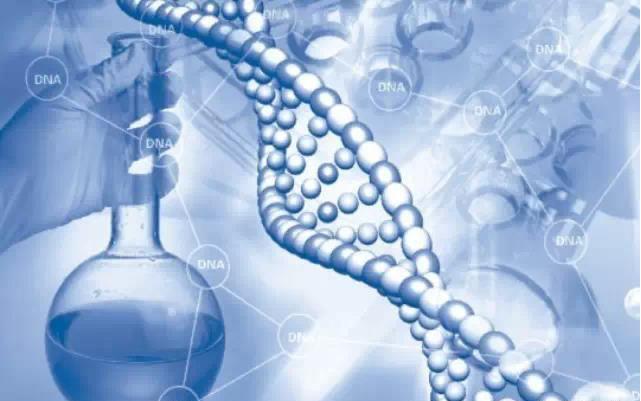 司法親子鑒定怎么做？無侵入性無創(chuàng)胎兒親子鑒定怎么做？