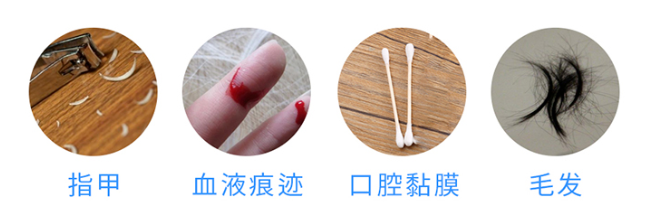 懷孕多久可以做無創胎兒親子鑒定樣本采集？