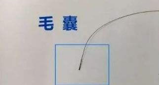 隱私親子鑒定自己一人能完成樣本采集嗎? 隱私親子鑒定自己一人能完成樣本采集嗎?