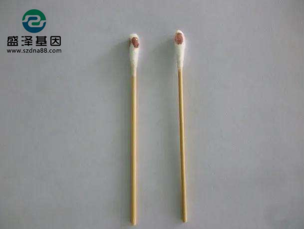 棉簽上的血其實(shí)就是血痕樣本，親子鑒定一般的載體的選擇有采血卡