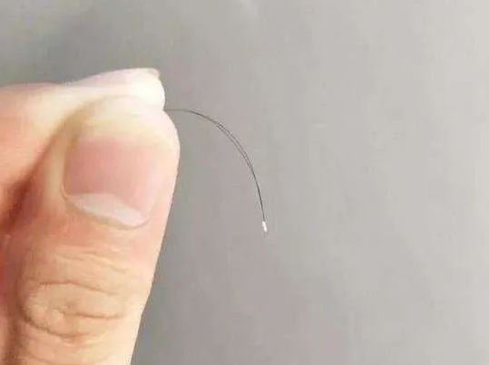 【科普】毛發(fā)親子鑒定樣本為什么一定要帶根部毛囊? 【科普】毛發(fā)親子鑒定樣本為什么一定要帶根部毛囊?