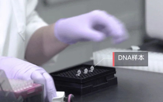 人員如何快速采樣？鑒定機構對收到的親子鑒定樣本負責