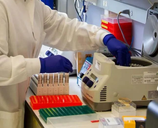 人員如何快速采樣？鑒定機構(gòu)對收到的親子鑒定樣本負(fù)責(zé)