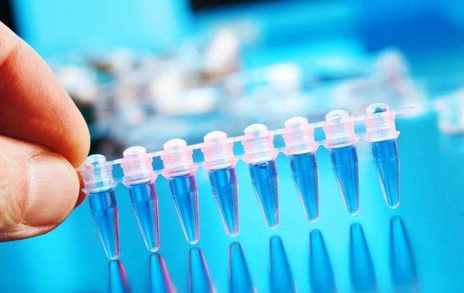 怎樣悄悄地做口香糖親子鑒定樣本采集,不讓別人知道? 怎樣悄悄地做口香糖親子鑒定樣本采集,不讓別人知道?