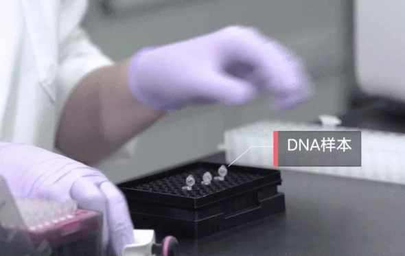 郵寄親子鑒定樣本準不準確?鑒定結果會不會出錯? 郵寄親子鑒定樣本準不準確?鑒定結果會不會出錯?