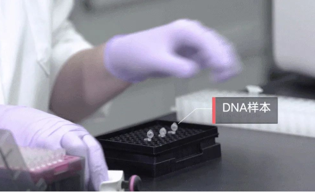 孩子不像丈夫怎么采集親子鑒定樣本確認關系?需要幾個工作日? 孩子不像丈夫怎么采集親子鑒定樣本確認關系?需要幾個工作日?