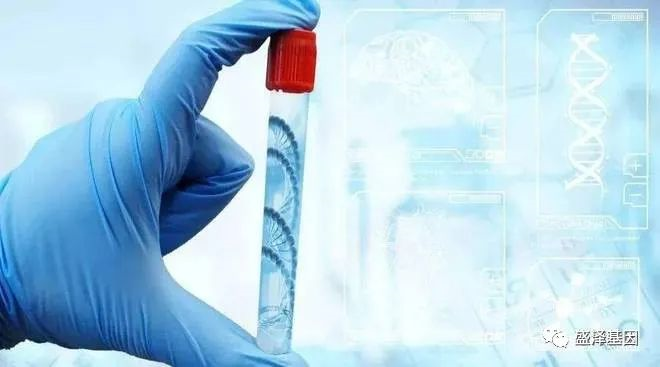 親子鑒定準確率是如何保證的？