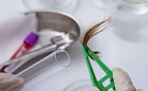 煙頭、血痕、毛發(fā)，做親子鑒定用哪些樣本最為準(zhǔn)確？