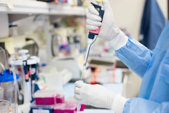 煙頭、血痕、毛發，做親子鑒定用哪些樣本最為準確？