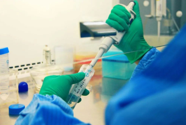 做DNA親子鑒定準(zhǔn)確率多少?親子鑒定非親生的比率高嗎? 做DNA親子鑒定準(zhǔn)確率多少?親子鑒定非親生的比率高嗎?