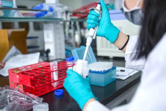 論親子鑒定的重要性：確定孩子關(guān)系