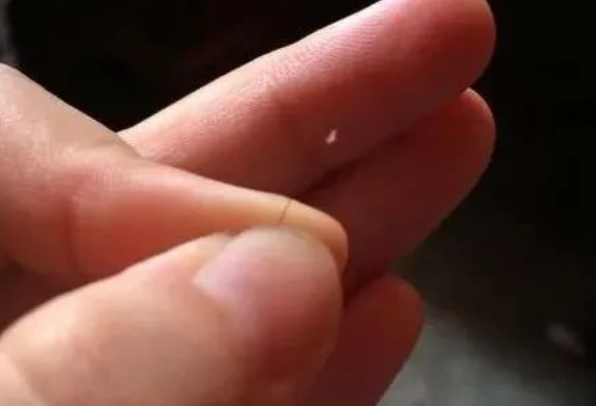 掉落的毛囊毛發可以拿去做染色體親子鑒定嗎？