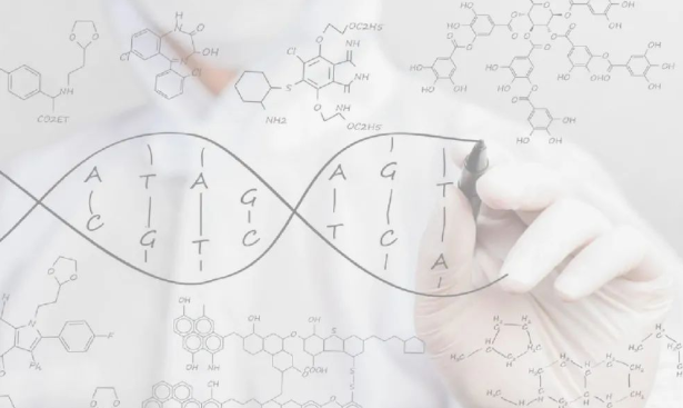 掉落的毛囊毛發可以拿去做染色體親子鑒定嗎？