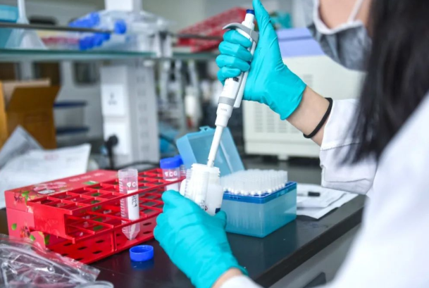 喝酒會影響親子鑒定機構結果準確率嗎？