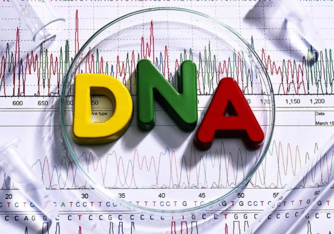 染色體遺傳：親子鑒定就是看血型么？