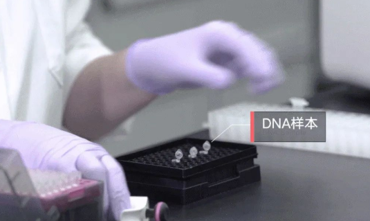 親子鑒定檢驗血型血痕，被鑒定人應了解自己或近親屬有無遺傳病史