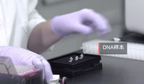 做親子鑒定需要申請嗎？如何親子鑒定？