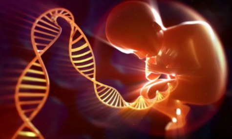 孕期做胎兒親子鑒定合適嗎？孕期有哪些胎兒親子鑒定方法？