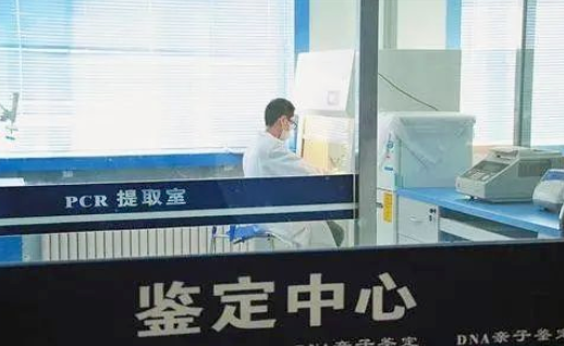 親子鑒定證明非婚生子法院會判決離婚嗎?可以要求過錯方賠償嗎? 親子鑒定證明非婚生子法院會判決離婚嗎?可以要求過錯方賠償嗎?