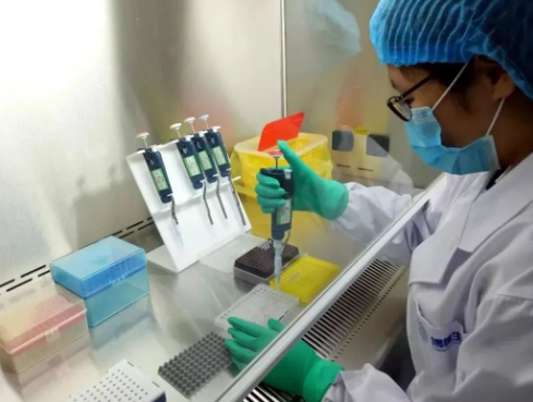 隱私親子鑒定該做不該做？如何做法律相關親子鑒定？