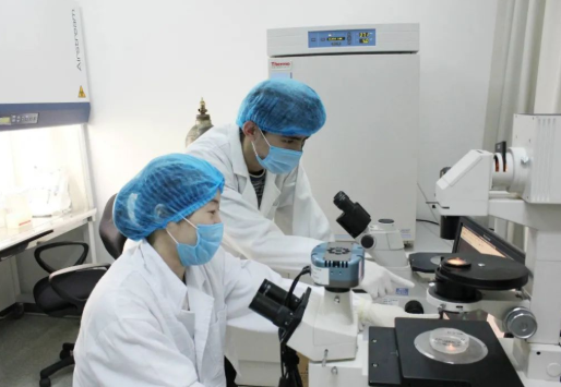 親子鑒定血型誤解和準確率盤點,該如何正確對待? 親子鑒定血型誤解和準確率盤點,該如何正確對待?