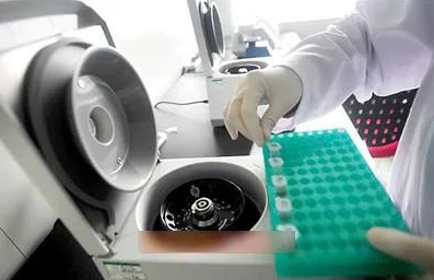 指甲是否含有DNA,可作為親子鑒定樣本嗎? 指甲是否含有DNA,可作為親子鑒定樣本嗎?