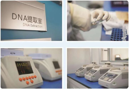 女方網友:父子倆血型一樣親子鑒定就是親生的嗎? 女方網友:父子倆血型一樣親子鑒定就是親生的嗎?