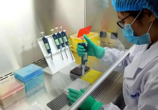 剪下來的頭發沒有毛囊可以做親子鑒定樣本嗎？