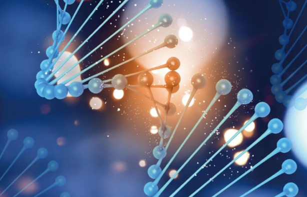 給小孩做親子鑒定需要什么樣本？采集口腔拭子嗎？