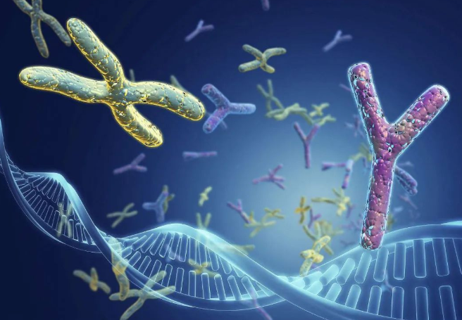 兄妹之間可以做親子鑒定嗎?兄弟之間可以做親緣關系鑒定嗎? 兄妹之間可以做親子鑒定嗎?兄弟之間可以做親緣關系鑒定嗎?