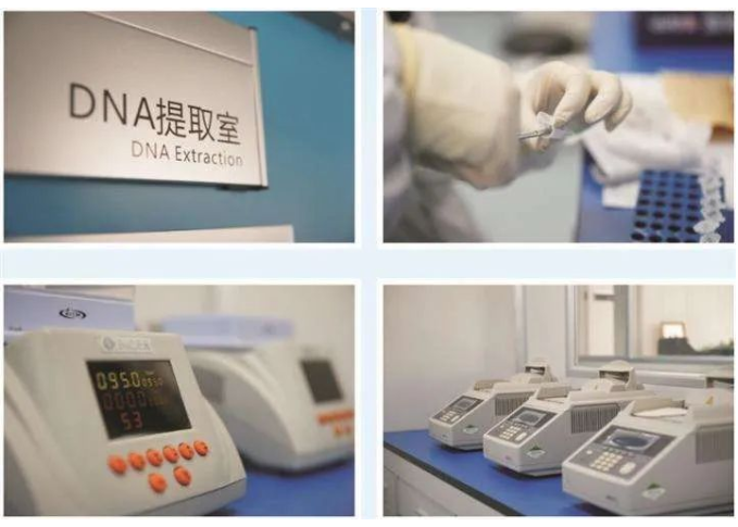 委托人一般在哪里做隱私親子鑒定？本中心保障隱私準確