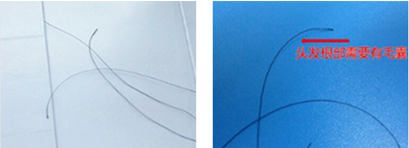 個人隱私親子鑒定樣本采集辦理需要哪些手續(xù)？