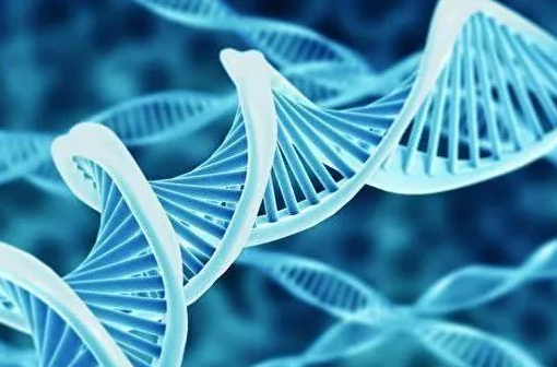 個人親子鑒定和司法親子鑒定怎么選？