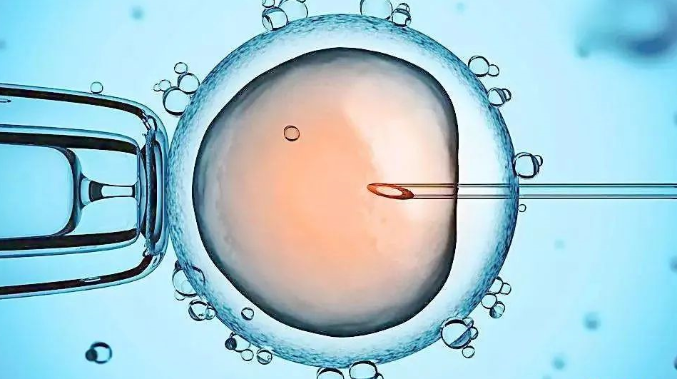 懷孕期間怎樣查親子鑒定？懷孕后能不能做親子鑒定？