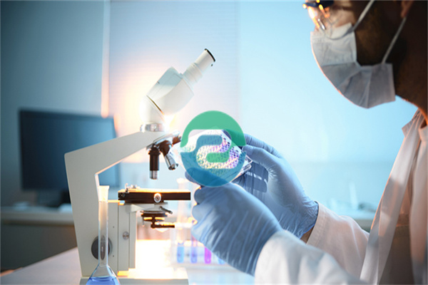 不想去現場還能進行中山親子鑒定嗎？