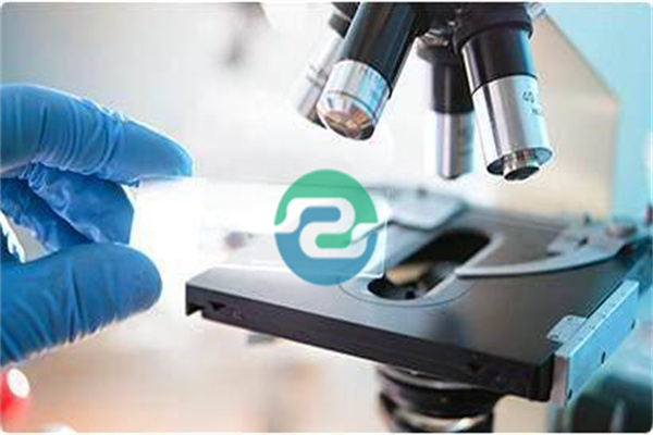 中山親子鑒定適用于多個(gè)領(lǐng)域-盛澤基因